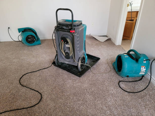 Best Sewage cleanup and water damage restoration  in Morris, OK