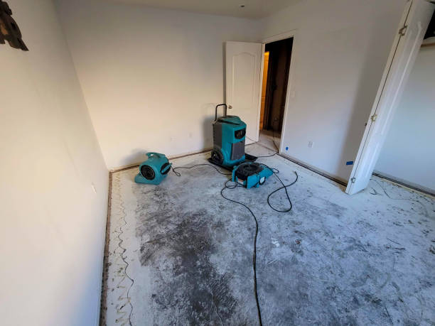 Best Local water damage restoration  in Morris, OK