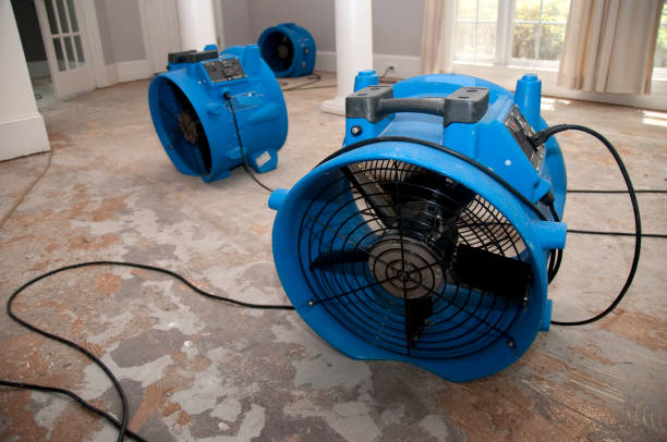 Sewage cleanup and water damage restoration in OK