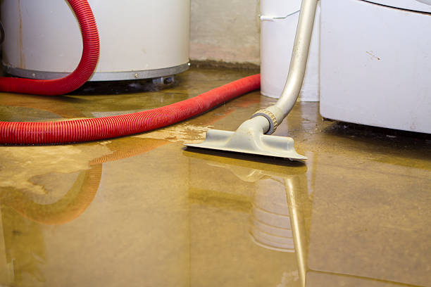 Best Water damage restoration cost  in Morris, OK